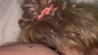 Perdón Por Mis Acciones.¿puedo Por Favor Darte Placer Oral?
