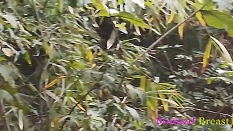 A Man From The City Has Rough Sex With A Village Girl In The Woods Until He Ejaculates